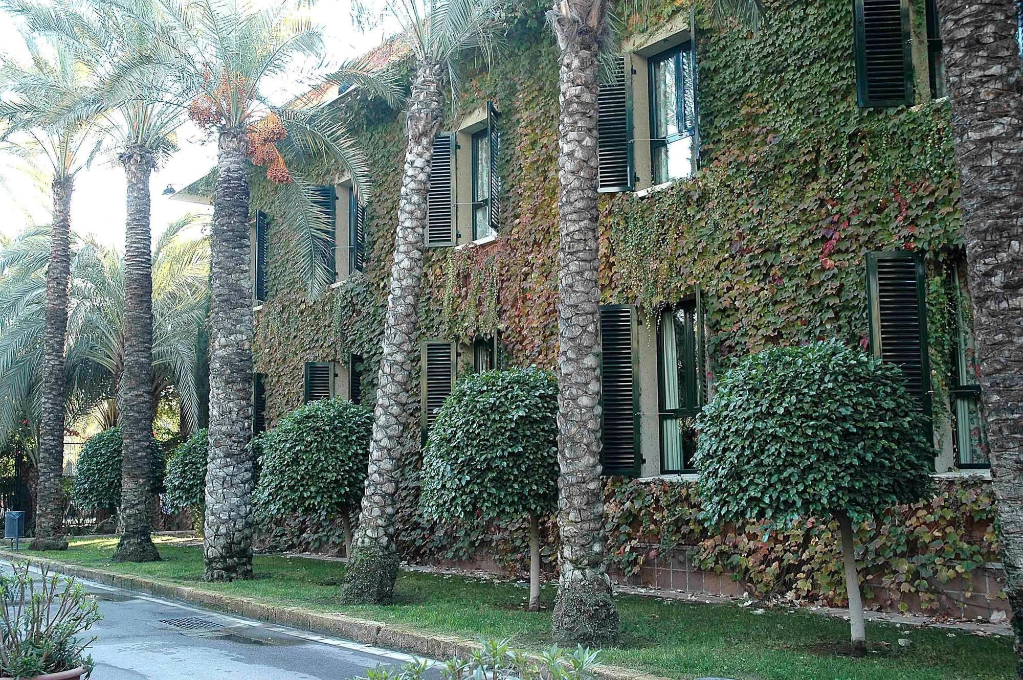 Hotel Jardin Milenio